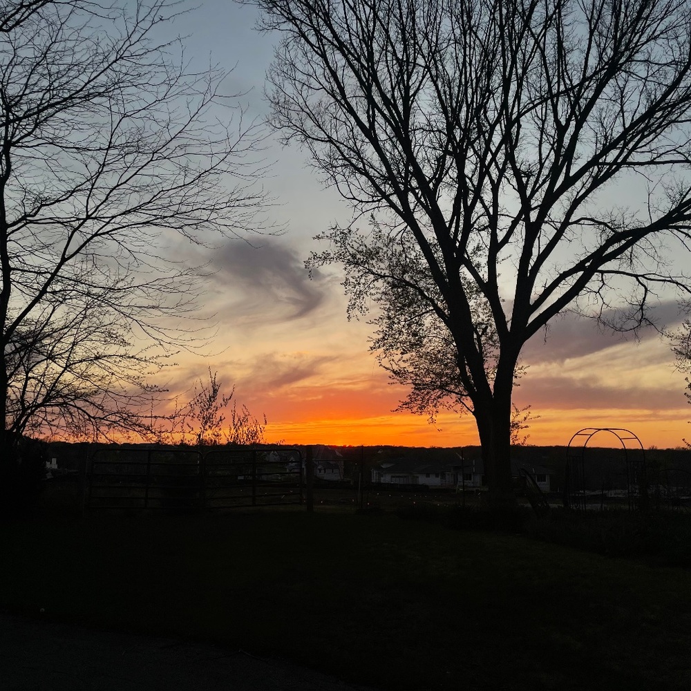 Meet your Posher, Kaela